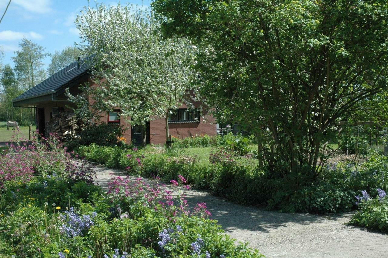 Gastenverblijf Op Het Graveland Zevenhuizen (Groningen) Exterior foto